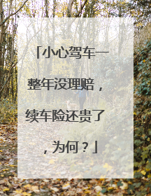 小心驾车一整年没理赔，续车险还贵了，为何？
