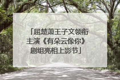 屈楚萧王子文领衔主演《有朵云像你》剧组亮相上影节