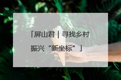 屏山君｜寻找乡村振兴“新坐标”