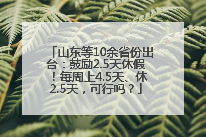 山东等10余省份出台：鼓励2.5天休假！每周上4.5天、休2.5天，可行吗？