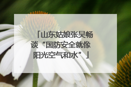 山东姑娘张昊畅谈“国防安全就像阳光空气和水”