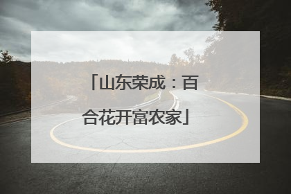 山东荣成：百合花开富农家