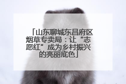 山东聊城东昌府区烟草专卖局：让“志愿红”成为乡村振兴的亮丽底色
