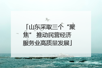 山东采取三个“聚焦” 推动民营经济服务业高质量发展