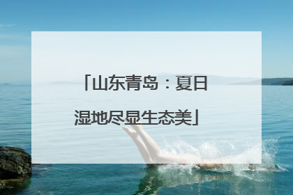 山东青岛：夏日湿地尽显生态美