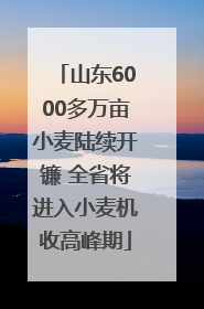 山东6000多万亩小麦陆续开镰 全省将进入小麦机收高峰期