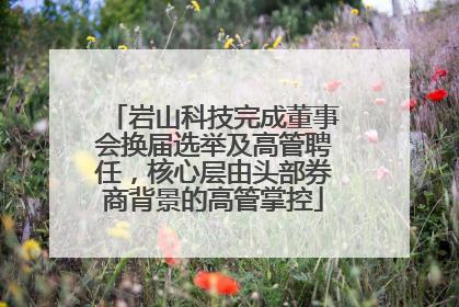 岩山科技完成董事会换届选举及高管聘任，核心层由头部券商背景的高管掌控