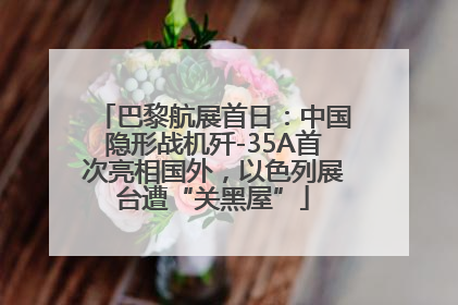 巴黎航展首日：中国隐形战机歼-35A首次亮相国外，以色列展台遭“关黑屋”