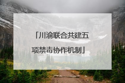 川渝联合共建五项禁毒协作机制
