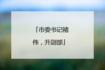 市委书记褚伟，升副部