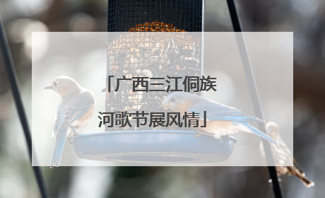 广西三江侗族河歌节展风情