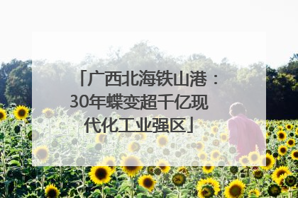 广西北海铁山港：30年蝶变超千亿现代化工业强区