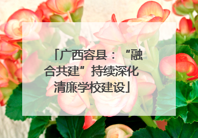 广西容县：“融合共建”持续深化清廉学校建设