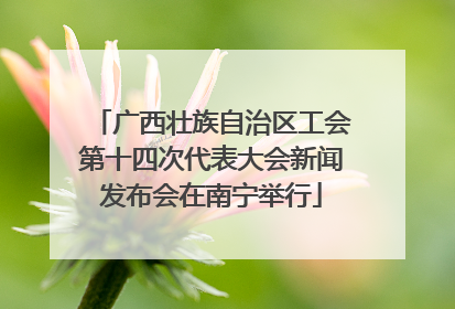 广西壮族自治区工会第十四次代表大会新闻发布会在南宁举行