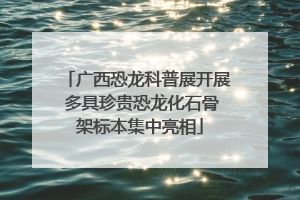 广西恐龙科普展开展 多具珍贵恐龙化石骨架标本集中亮相