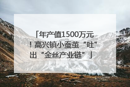 年产值1500万元！高兴镇小蚕茧“吐”出“金丝产业链”