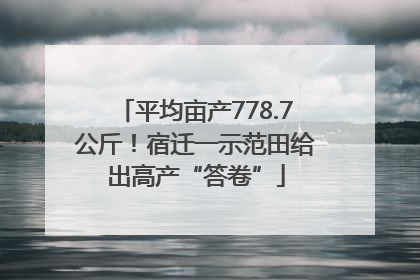 平均亩产778.7公斤！宿迁一示范田给出高产“答卷”