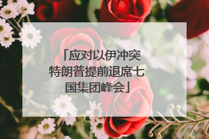 应对以伊冲突 特朗普提前退席七国集团峰会