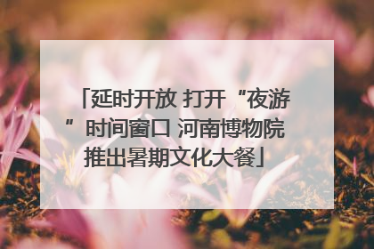 延时开放 打开“夜游”时间窗口 河南博物院推出暑期文化大餐