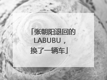 张朝阳退回的LABUBU，换了一辆车