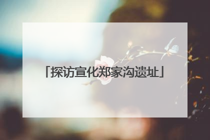 探访宣化郑家沟遗址