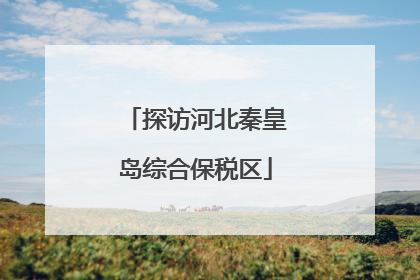 探访河北秦皇岛综合保税区