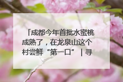 成都今年首批水蜜桃成熟了，在龙泉山这个村尝鲜“第一口”｜寻找和美乡村推荐官