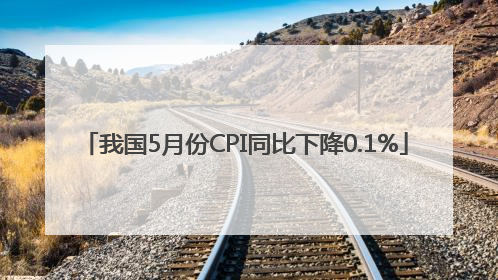 我国5月份CPI同比下降0.1%