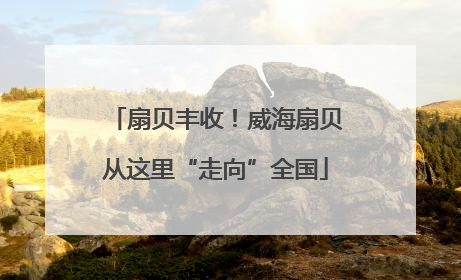 扇贝丰收！威海扇贝从这里“走向”全国
