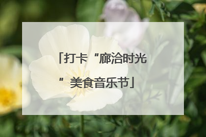 打卡“廊洽时光”美食音乐节