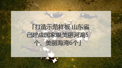 打造示范样板 山东省已建成国家级美丽河湖5个、美丽海湾6个
