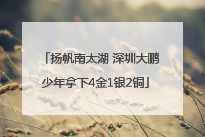 扬帆南太湖 深圳大鹏少年拿下4金1银2铜