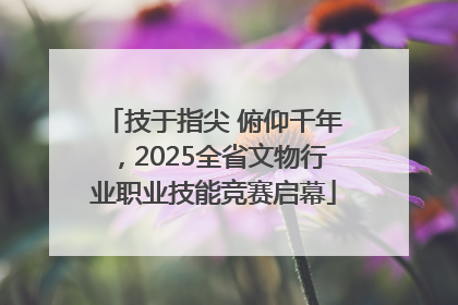 技于指尖 俯仰千年，2025全省文物行业职业技能竞赛启幕