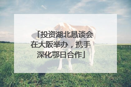 投资湖北恳谈会在大阪举办，携手深化鄂日合作