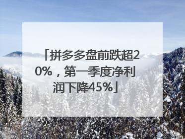 拼多多盘前跌超20%，第一季度净利润下降45%