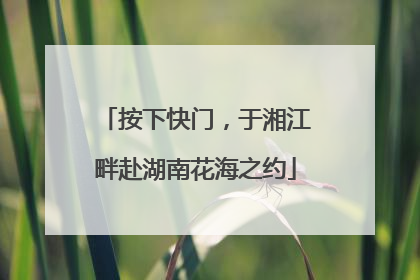 按下快门，于湘江畔赴湖南花海之约