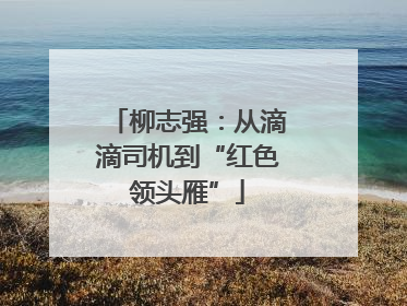 柳志强：从滴滴司机到“红色领头雁”
