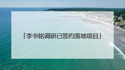 李书铭调研已签约落地项目