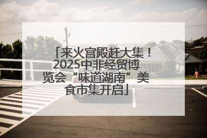 来火宫殿赶大集！2025中非经贸博览会“味道湖南”美食市集开启