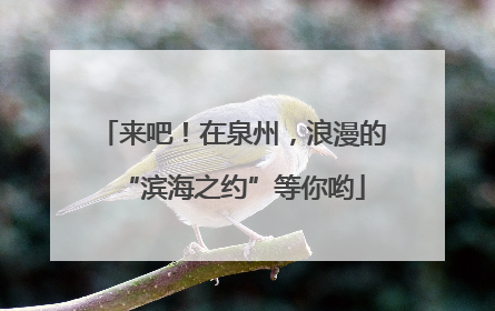 来吧！在泉州，浪漫的“滨海之约”等你哟