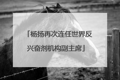 杨扬再次连任世界反兴奋剂机构副主席