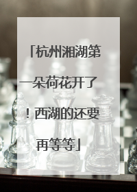杭州湘湖第一朵荷花开了！西湖的还要再等等