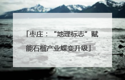 枣庄：“地理标志”赋能石榴产业蝶变升级