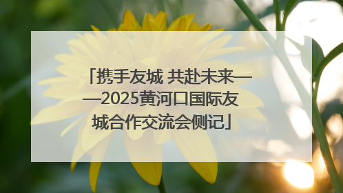 携手友城 共赴未来——2025黄河口国际友城合作交流会侧记