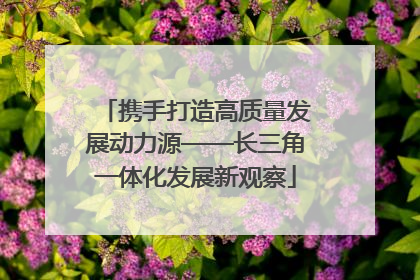携手打造高质量发展动力源——长三角一体化发展新观察