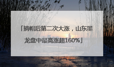 摘帽后第二次大涨，山东墨龙盘中最高涨超160%