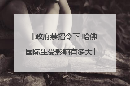 政府禁招令下 哈佛国际生受影响有多大