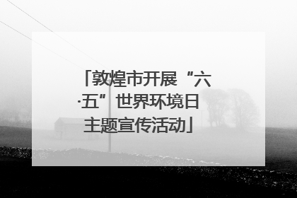 敦煌市开展“六·五”世界环境日主题宣传活动