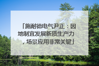 施耐德电气尹正：因地制宜发展新质生产力，场景应用非常关键