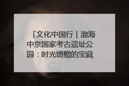 文化中国行｜渤海中京国家考古遗址公园：时光馈赠的宝藏 历史凝固的诗篇